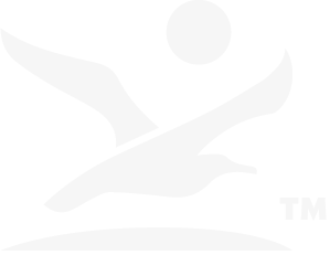 Logo Gidio